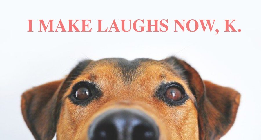 Dog Meme