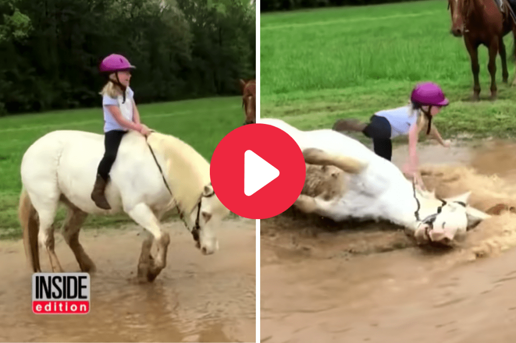 Pony Dunked