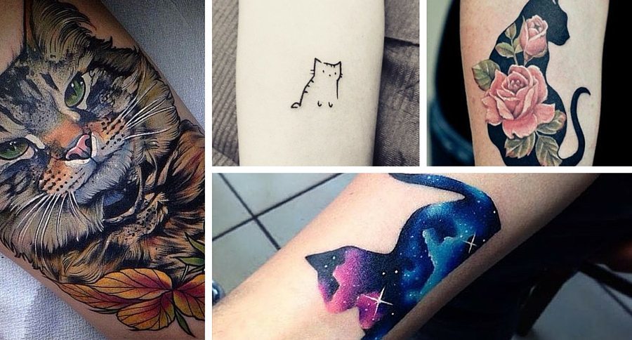 Cat Tattoo