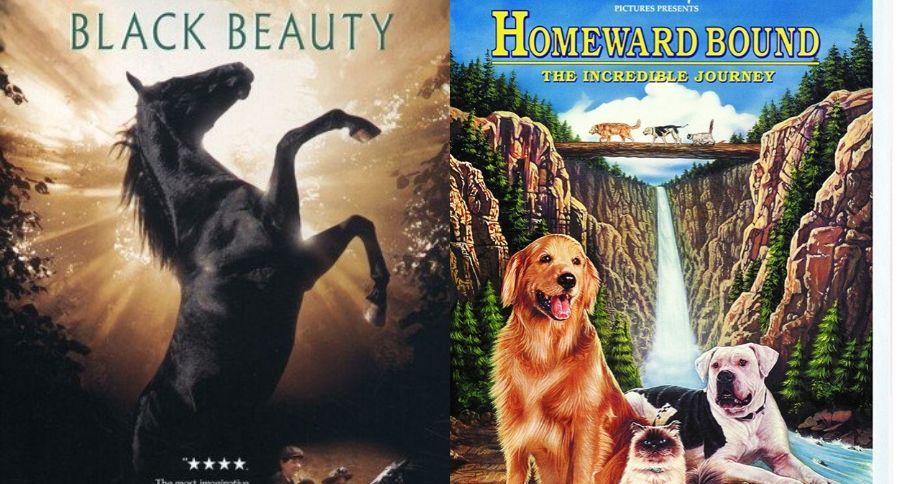 pet movies
