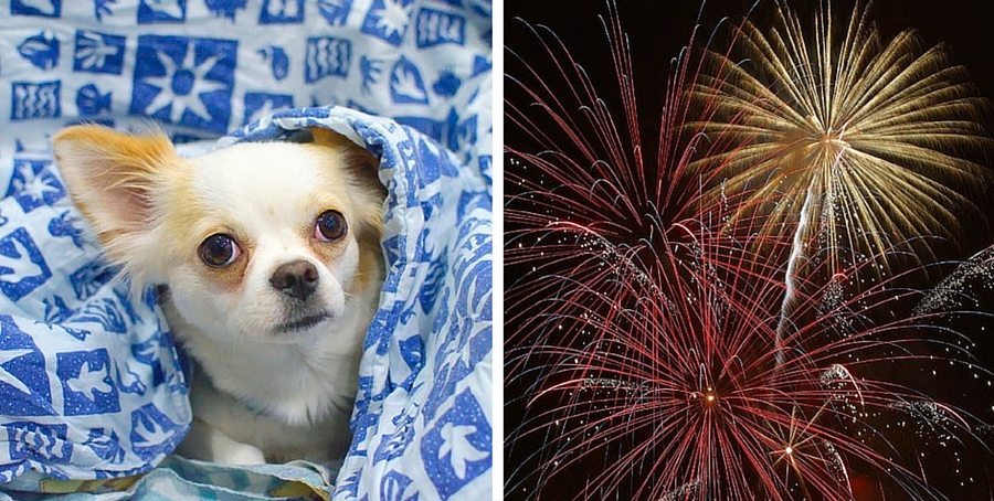 Silent Fireworks
