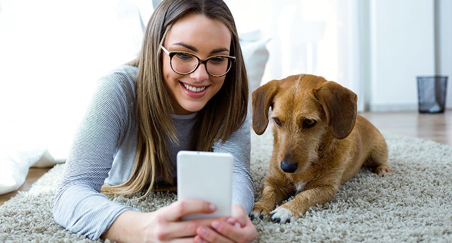 millennials and pets