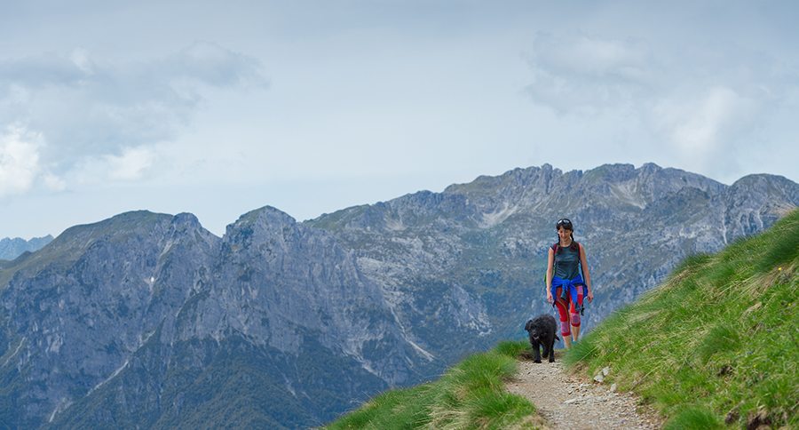 hiking with your dog