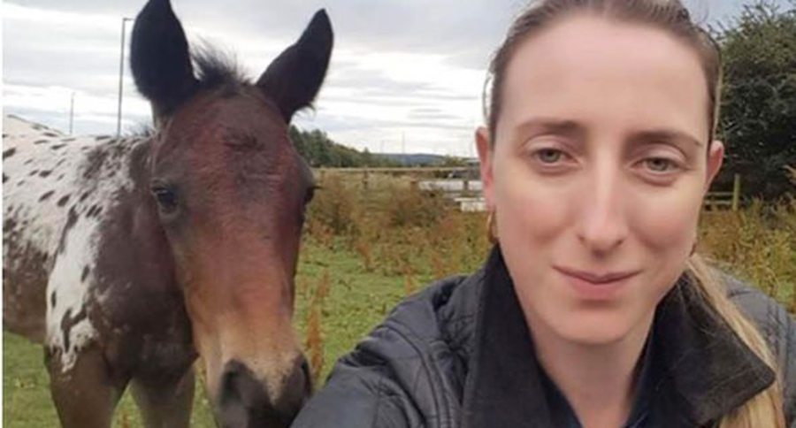 Foal Treats