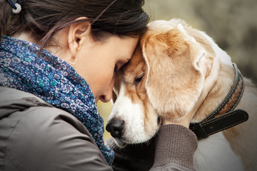 Dog and owner share tender moment.