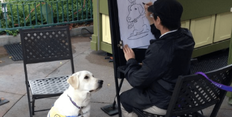Service Dog