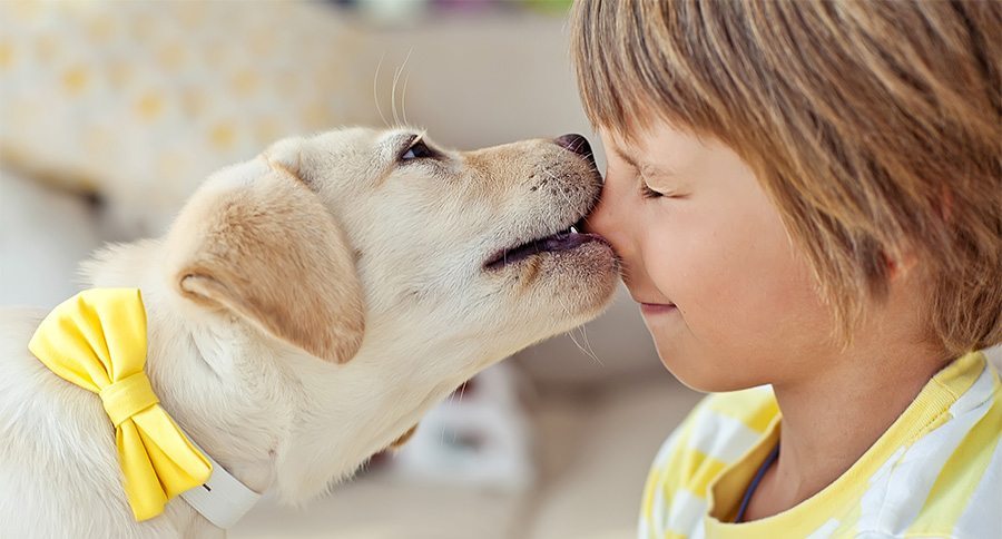 Happy kid with a dog at home