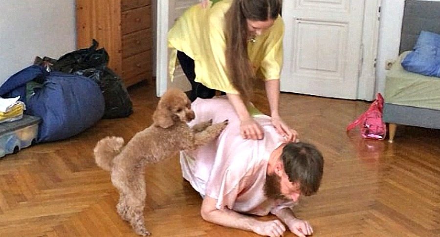 performance for pets