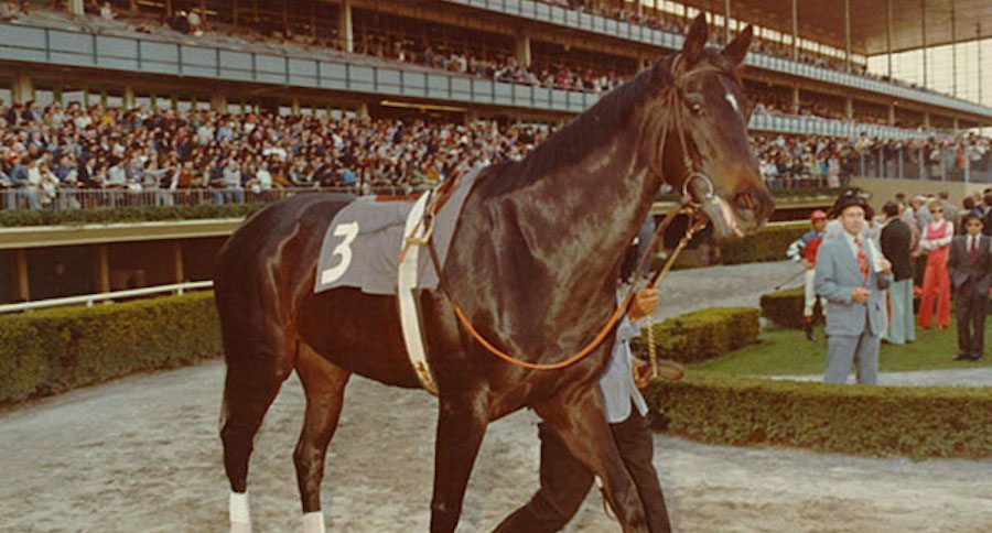 Ruffian