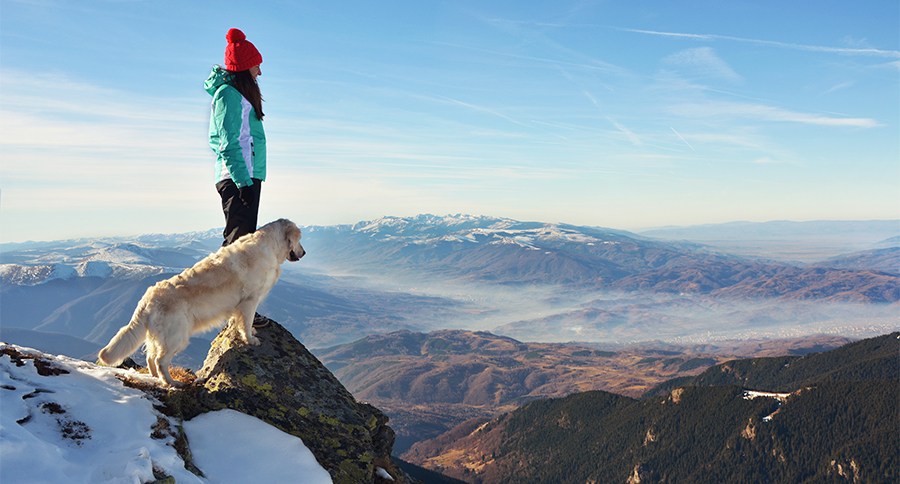 Girl with a golden retriever dog on top of a mountain during win