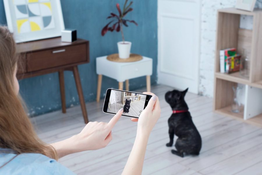 petcube