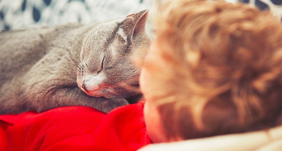 Young man with his russian blue cat at the home