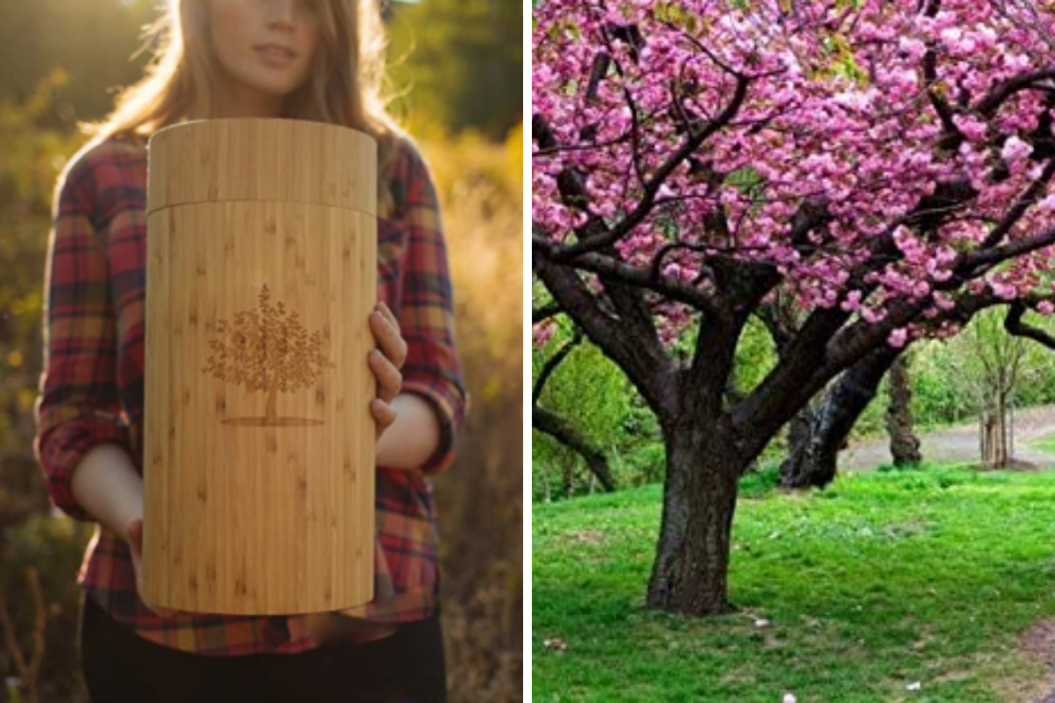 The Living Urn, Amazon
