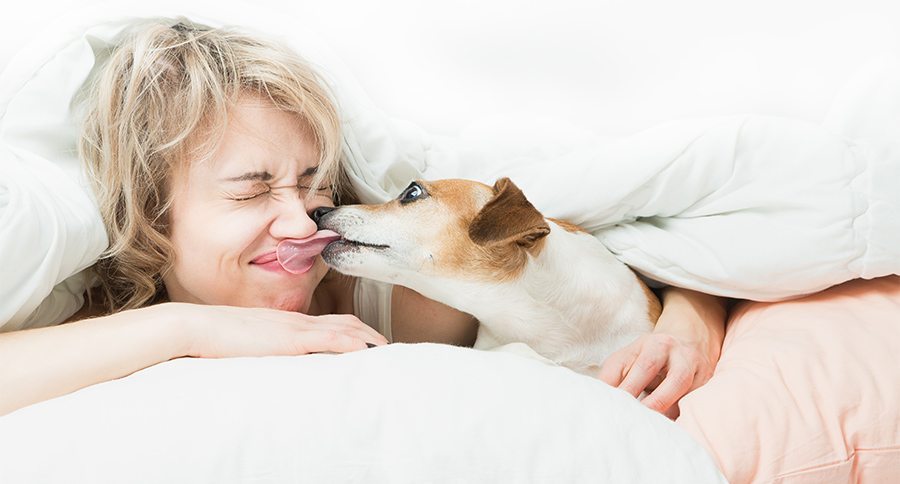 Blonde beautiful Woman and dog playfully indulge in fun on the b