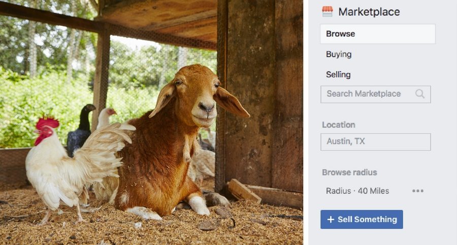 animal sales FB marketplace