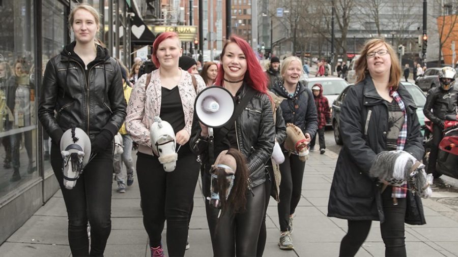 hobbyhorse youth