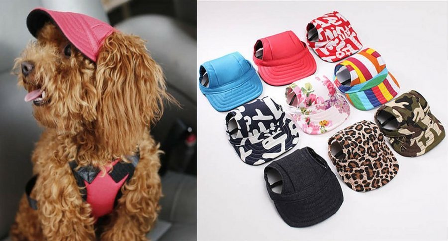 Machiko Summer Dog Hat