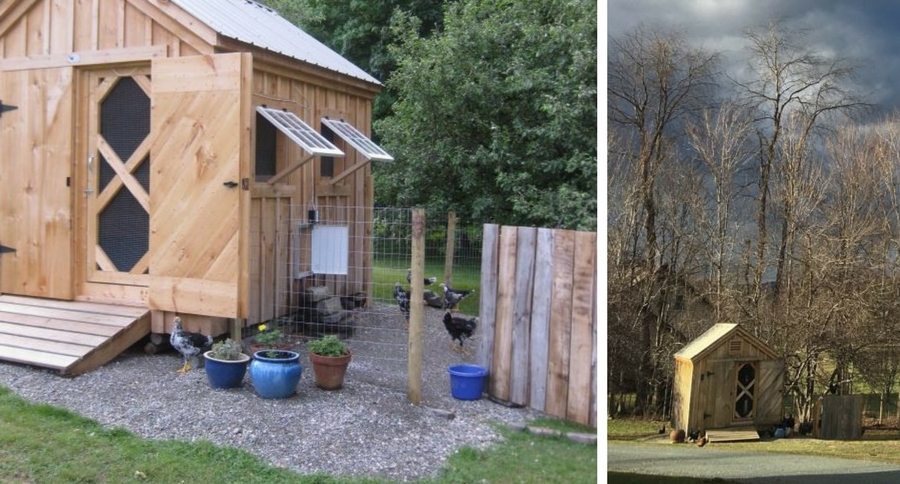 chicken coops