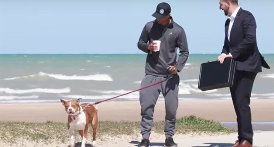 dog prank
