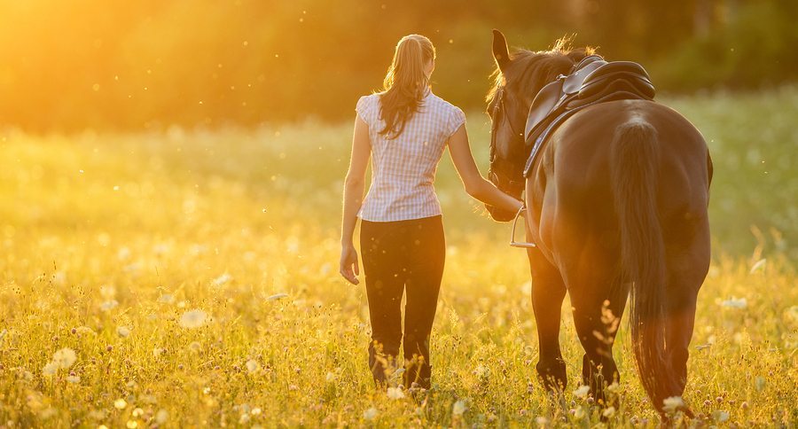 Backview of young woman walking with her horse in evening sunset light. Outdoor photography with fashion model girl.