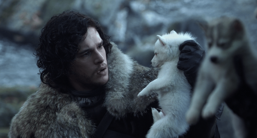 Direwolf