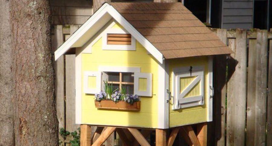 Small Chicken Coop Plans