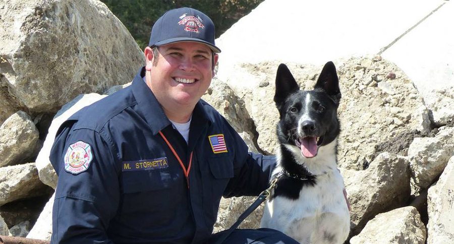 search and rescue dog