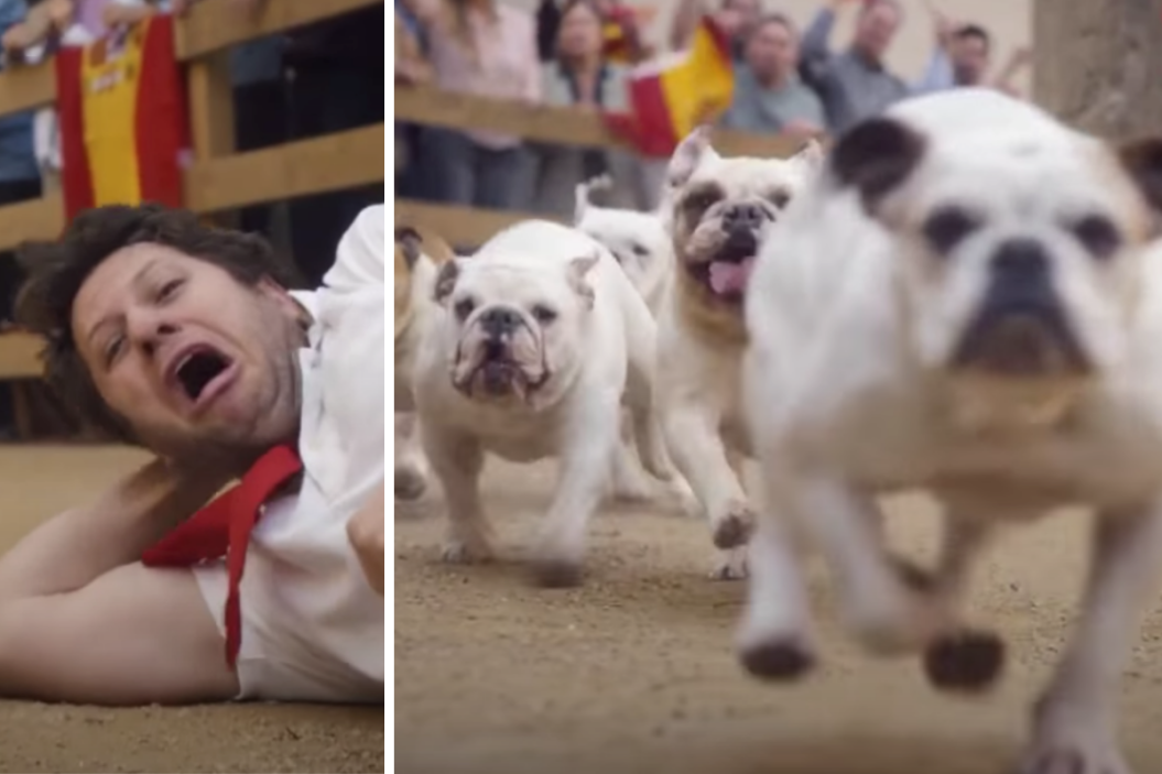 Running of the Bulldogs, GEICO commercial