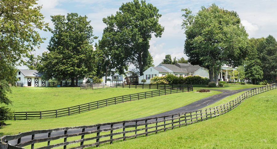 Johnny Depp's Farm