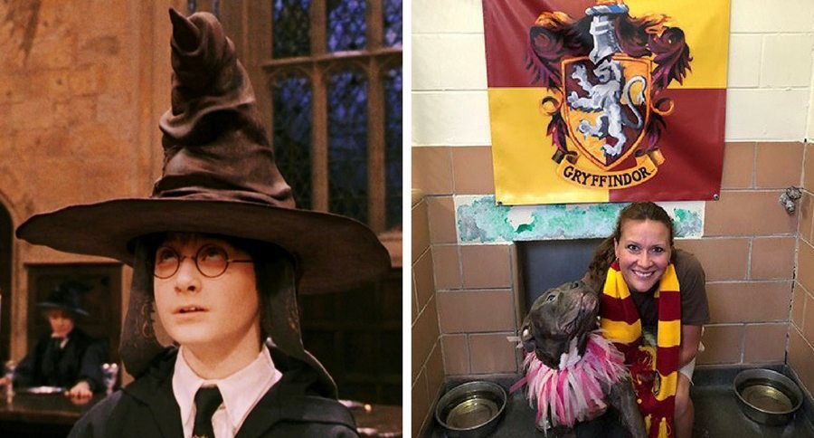 Hogwarts dogs