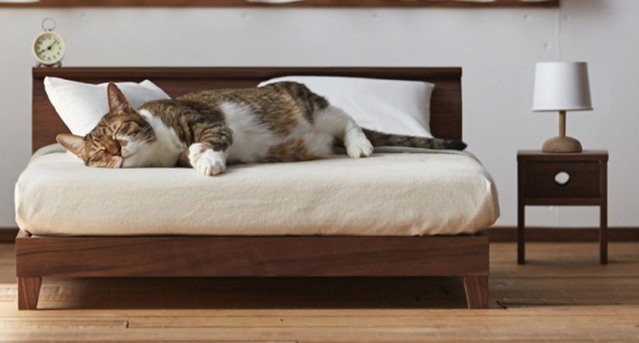 cat furniture