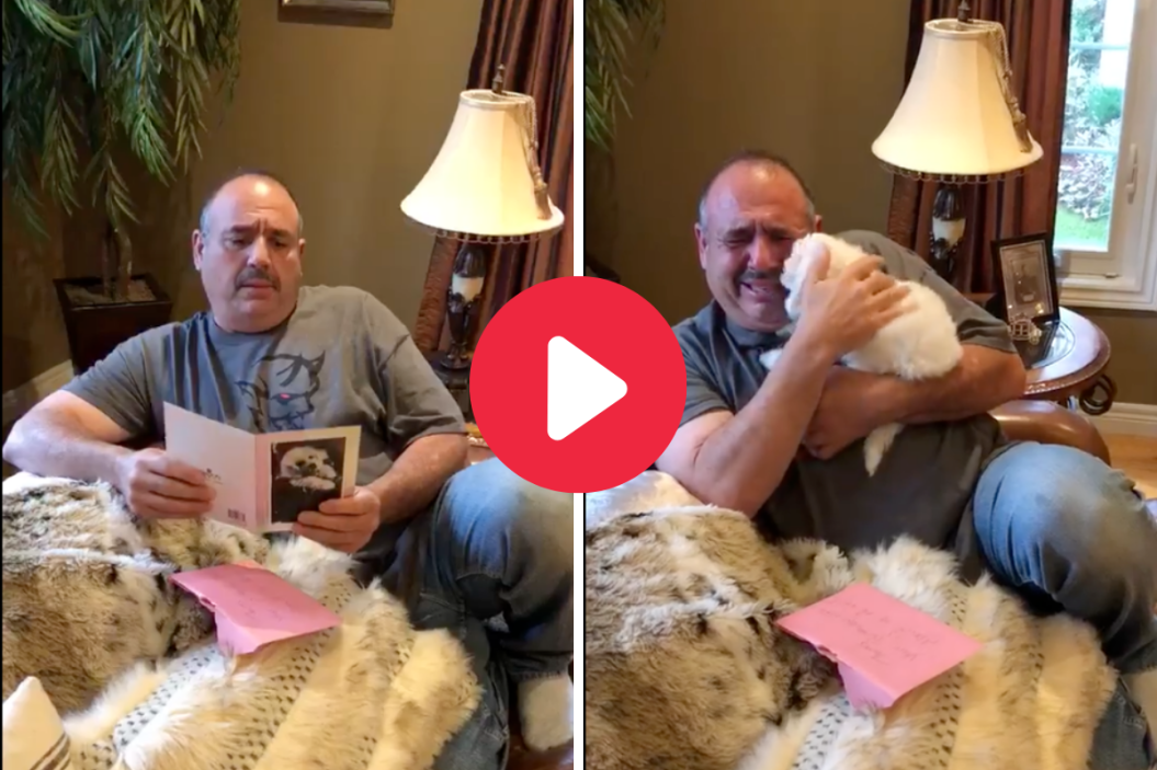 Dad Surprised by Bichon Frise dog.