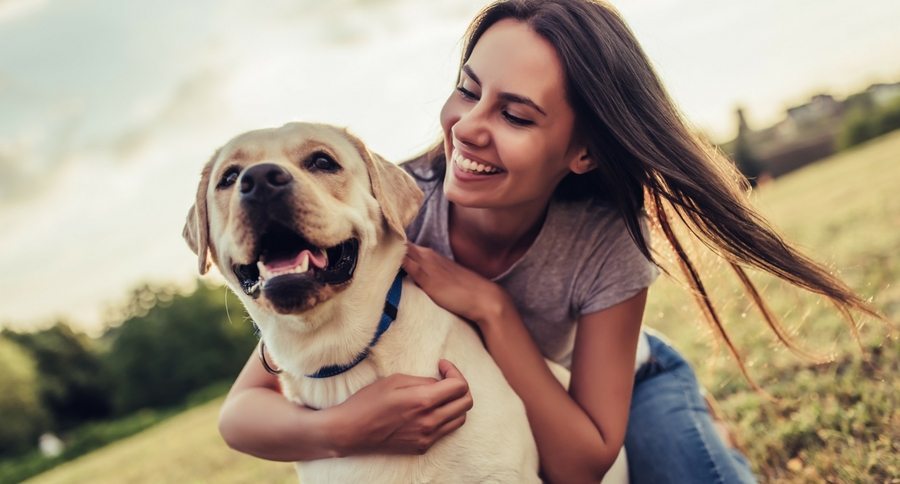 humans love dogs more than humans