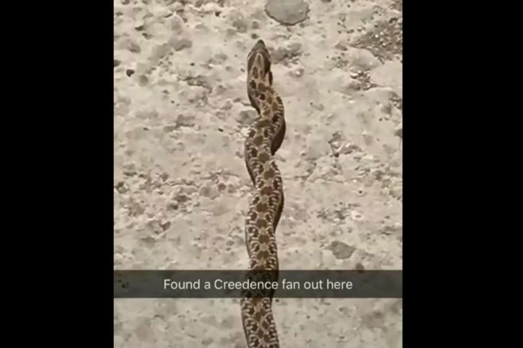 Dancing Snake, Proud Mary