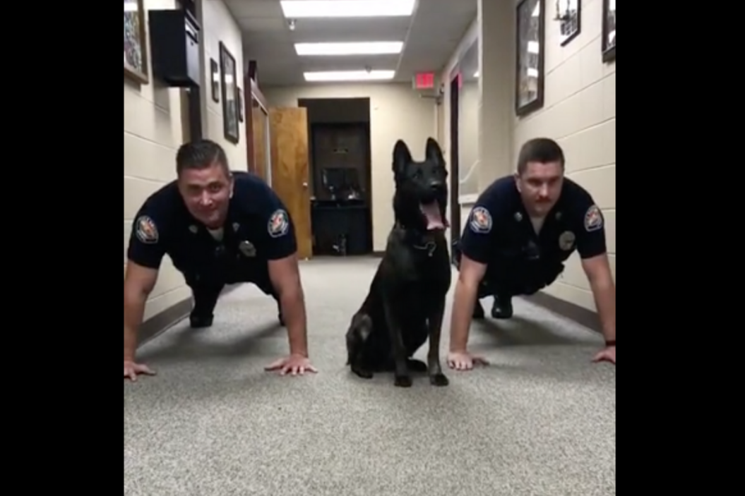 Police K9 Push-Up