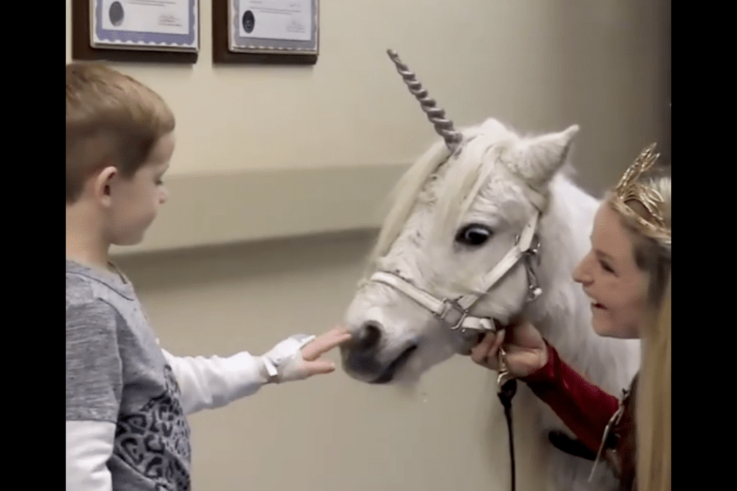 Spirit The Unicorn