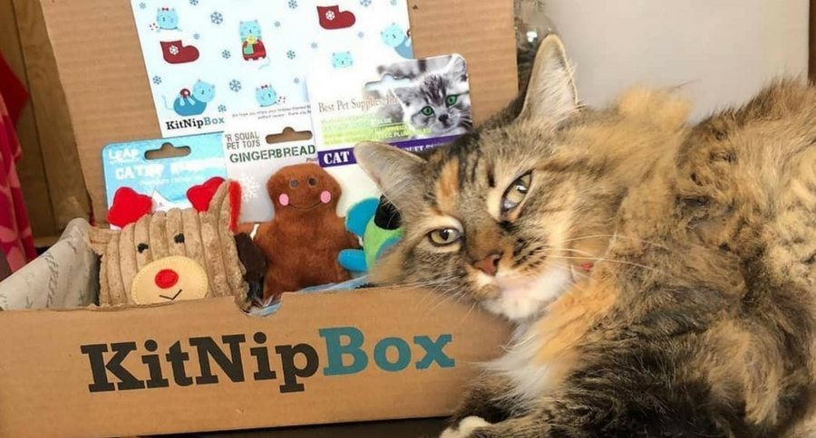 KitNipBox