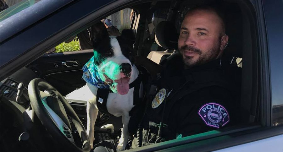 dog and cop