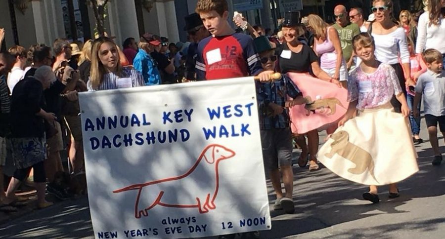 key west Dachshund walk