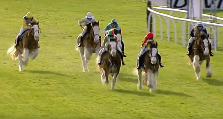 horse race