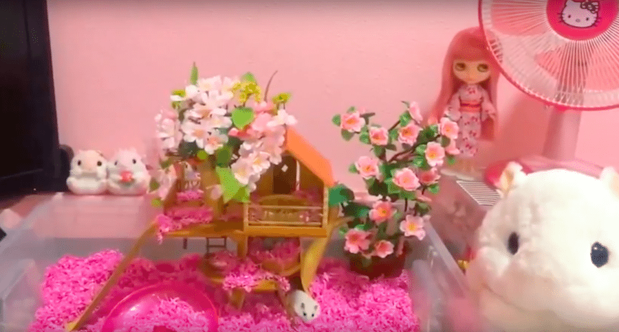 pink hamster cage
