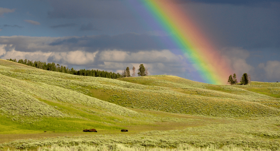 rainbow