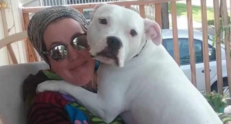 woman's best friend