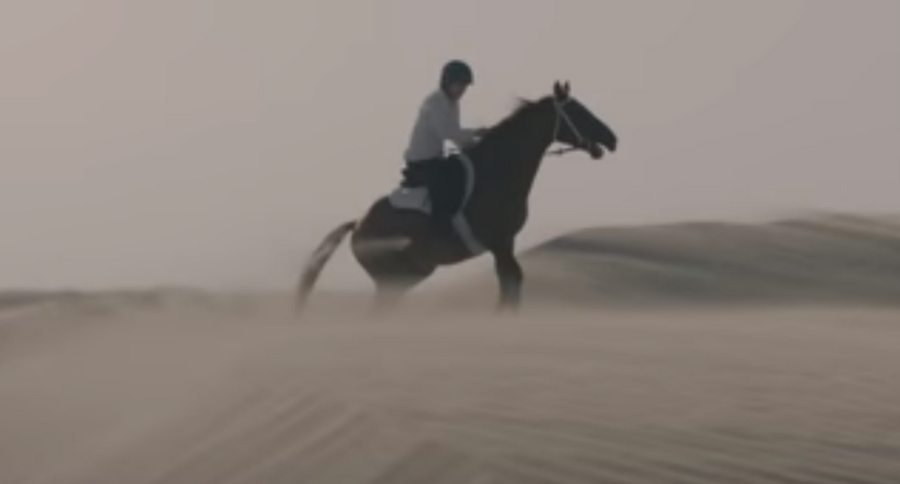 horseback