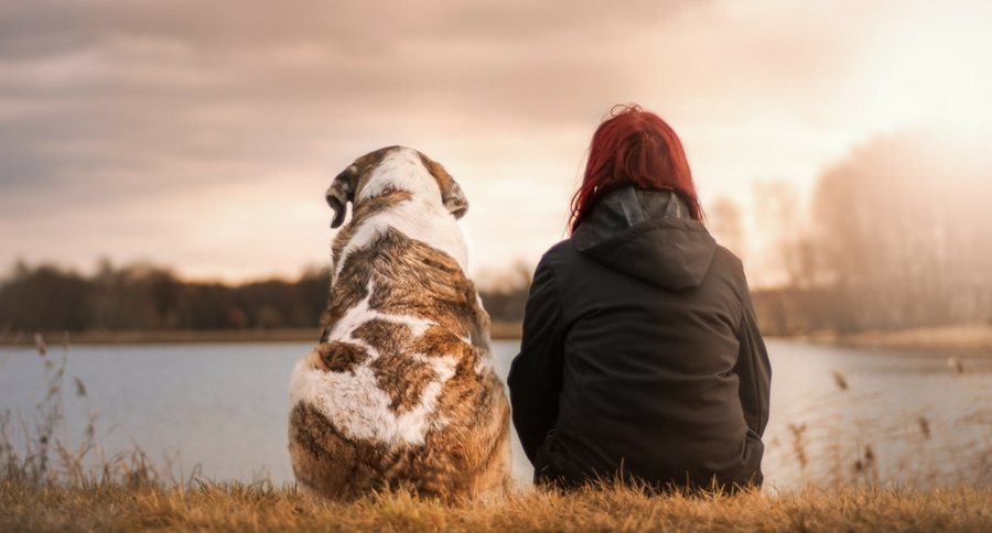 human and dog