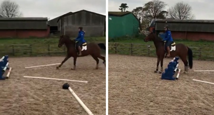 horse jump fail