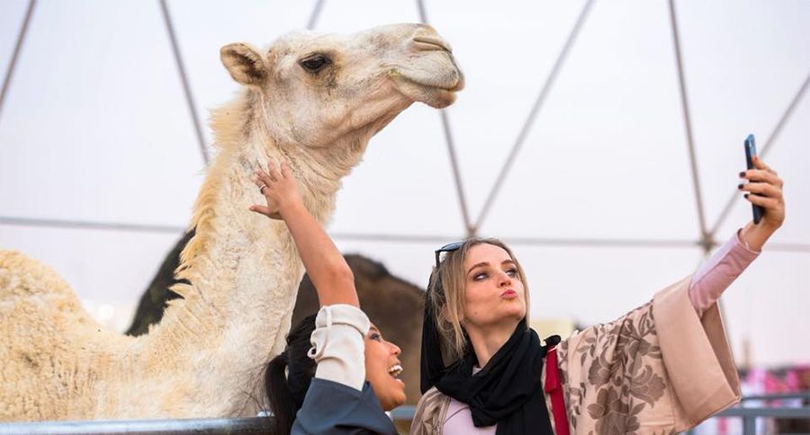 camel beauty pageant
