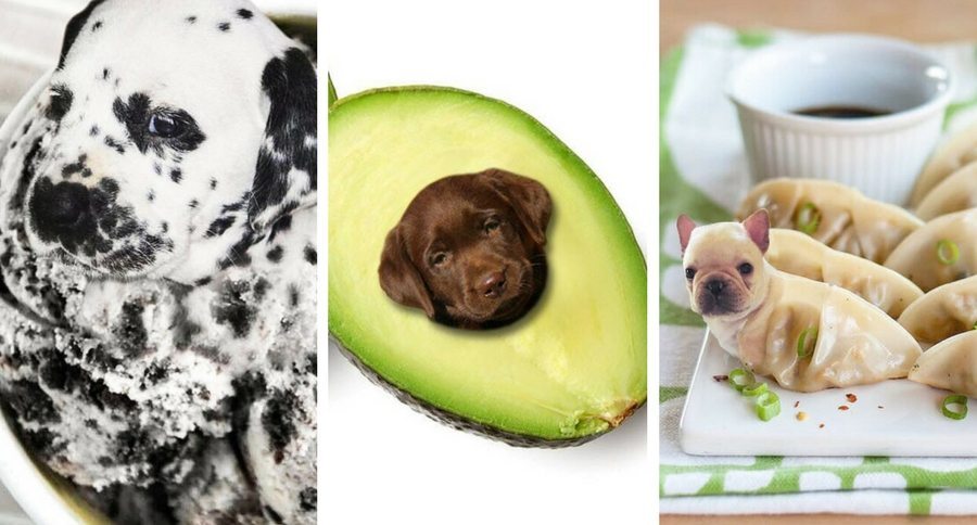 dogs in food