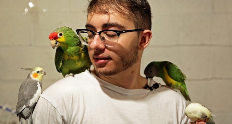 hani hallal parrot whisperer
