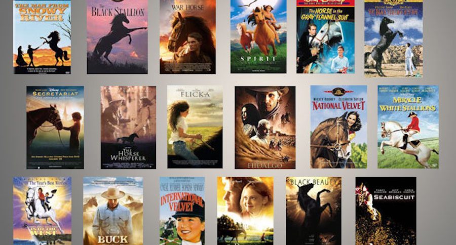 Horse movies